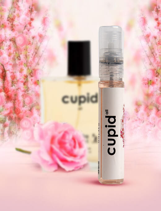 Cupid EDP