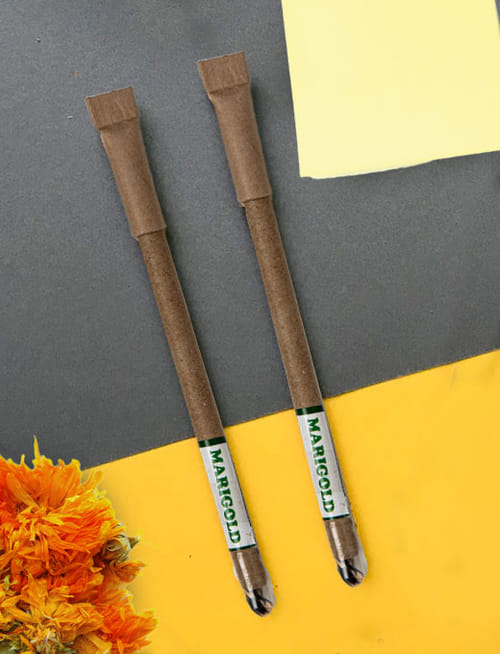 Plantable Pen - Marigold