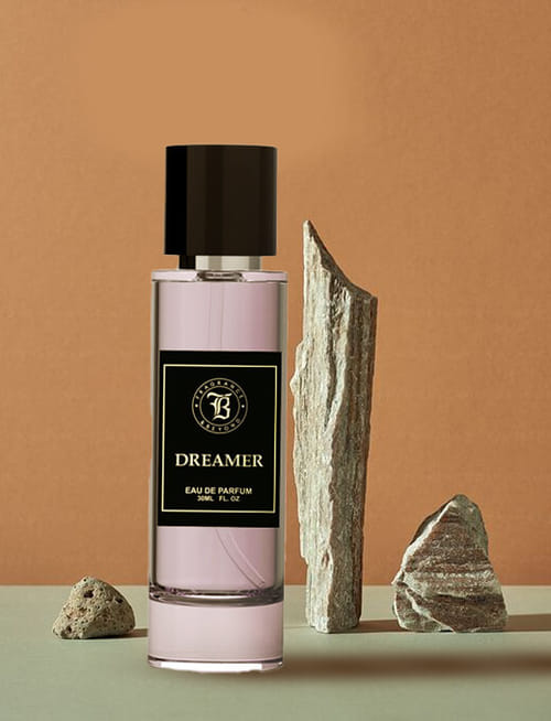 Dreamer EDP