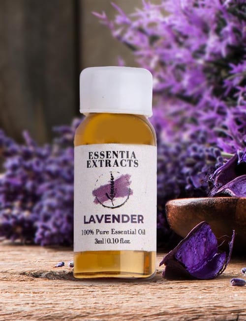 Lavender Essential Oil