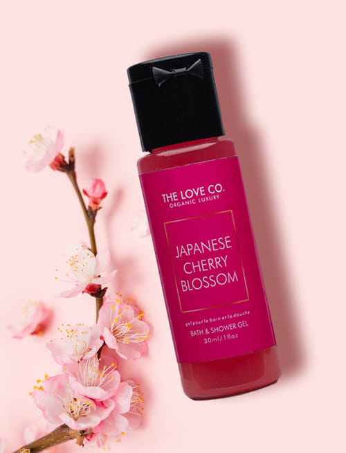 Japanese Cherry Blossom Body Wash Japanese Cherry Blossom Body Wash