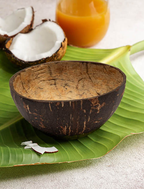 Mini Coconut Shell Bowl