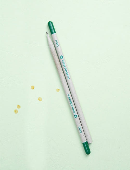 Plantable Seed Plain Paper Pencil Chilli