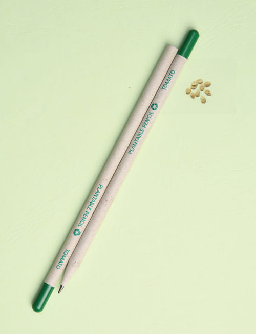 Plantable Seed Plain Paper Pencil Tomato