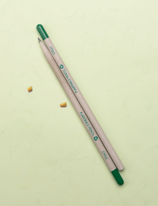 Plantable Seed Paper Pencil Chilli