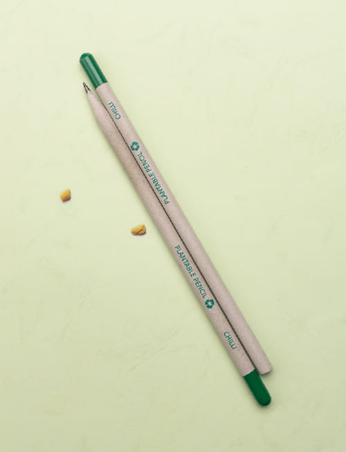 Plantable Seed Paper Pencil Chilli
