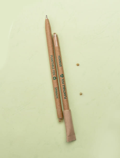 Plantable Seed Paper Pen Spinach