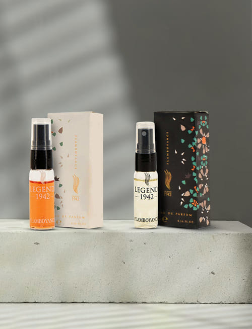 Flamboyance Discovery Duo