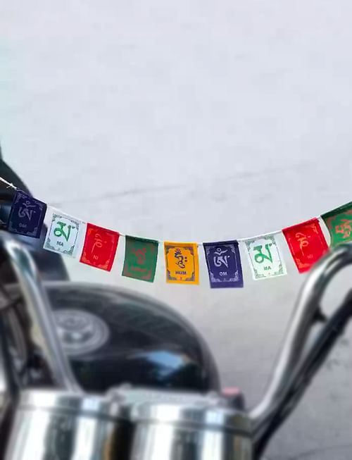 Bike/Car Flag