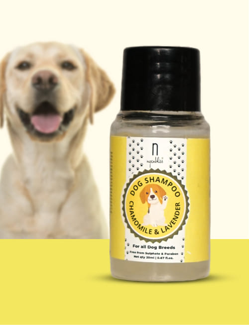 Dog Shampoo Chamomile & Lavender