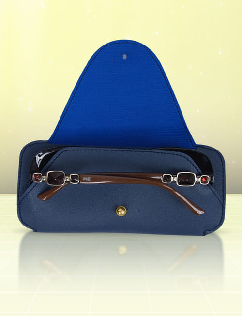 Sunglass Protector Case