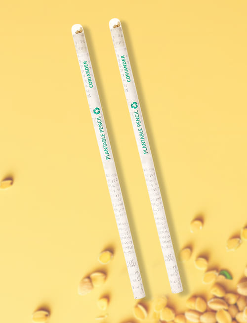 Plantable Pencil - Coriander
