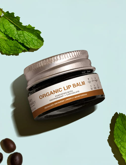 Peppermint And Chocolate Lip Balm