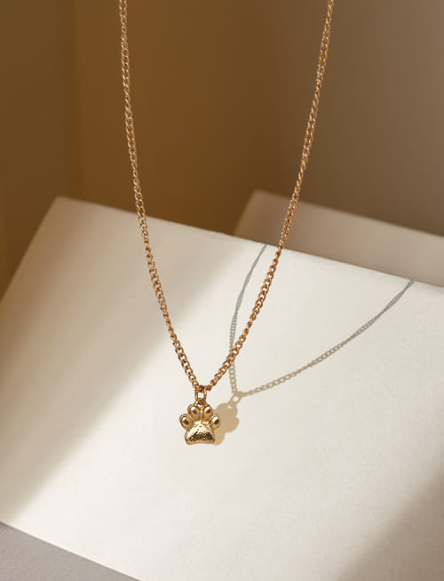 Golden Paw Necklace - STYL000053