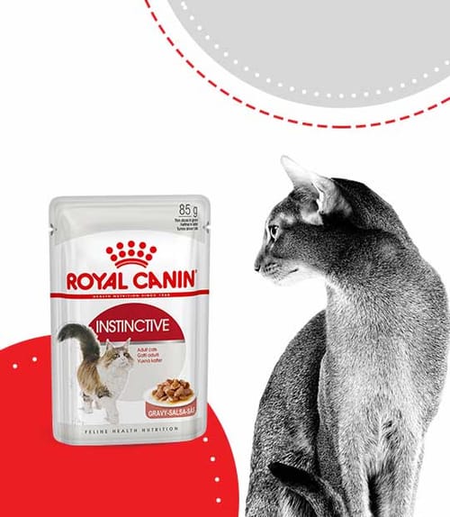 INSTINCTIVE Gravy, Cat Food INSTINCTIVE Gravy, Cat Food