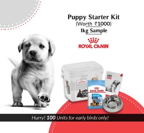 Puppy Starter Kit