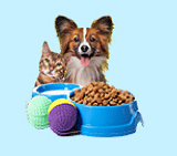 Pet Care