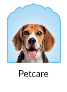 Pet Care