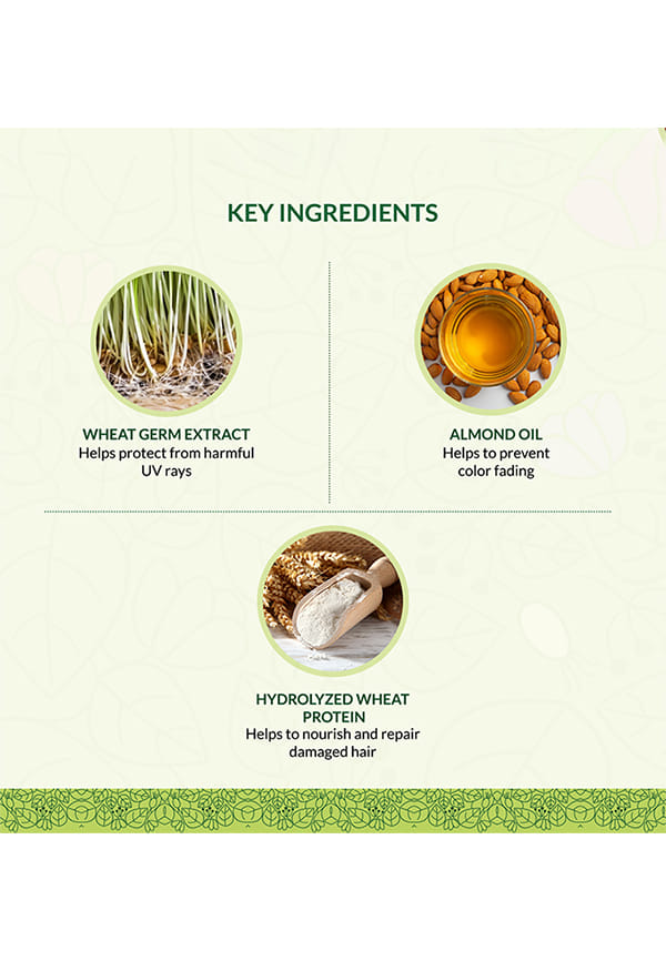 100% organic Deep Nourishing Hair (eaze) Spa – thumbnail 4