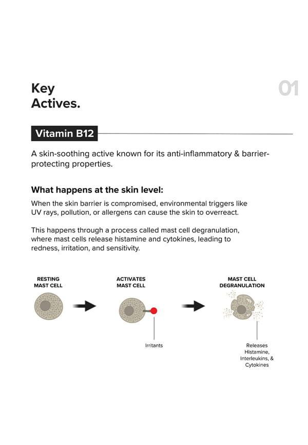 Vitamin B12 + Repair Complex 5.5% Face Moisturizer – thumbnail 4