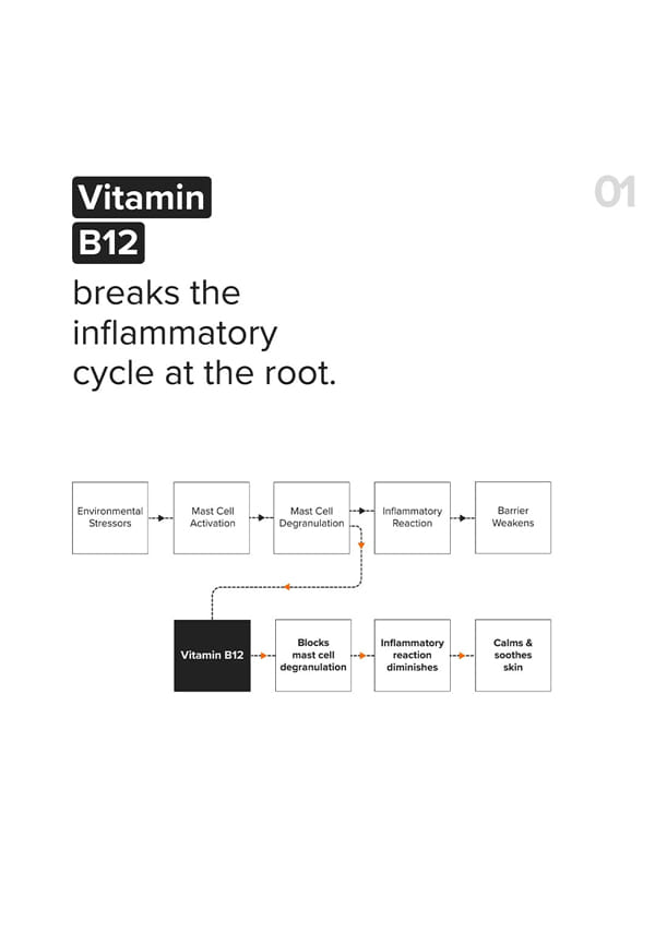 Vitamin B12 + Repair Complex 5.5% Face Moisturizer – thumbnail 5