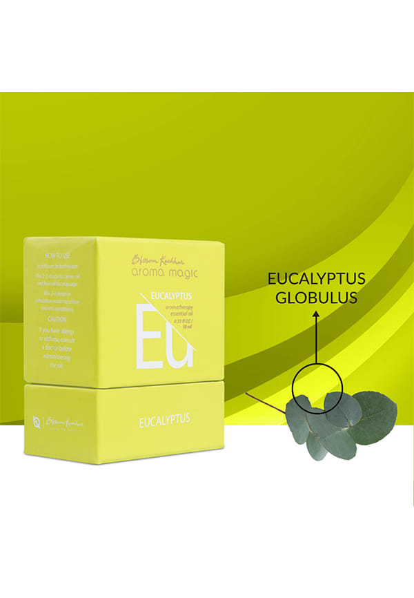 Eucalyptus Essential Oil – thumbnail 4