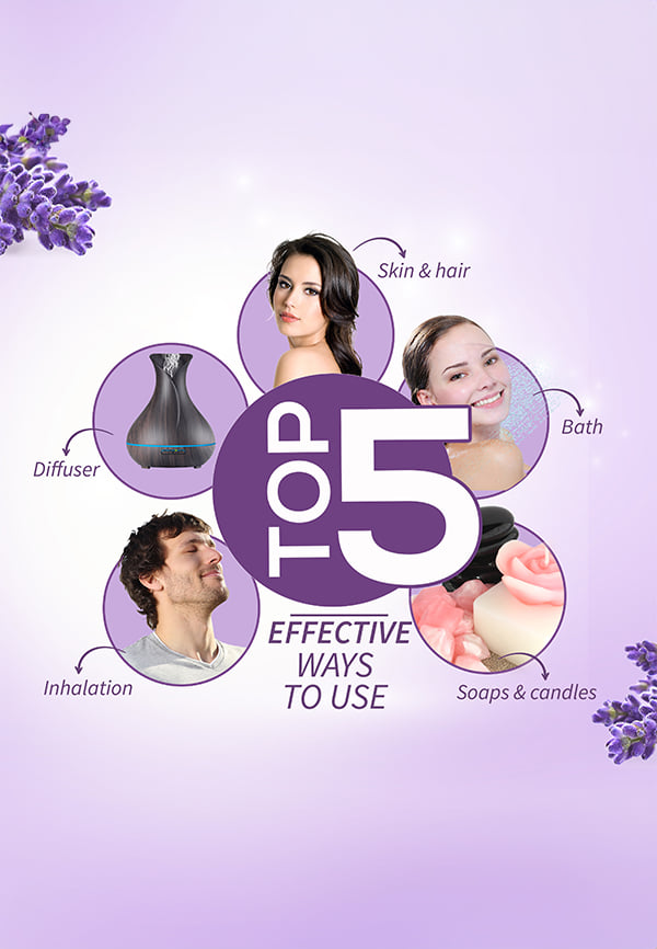 Lavender Essential Oil – thumbnail 6