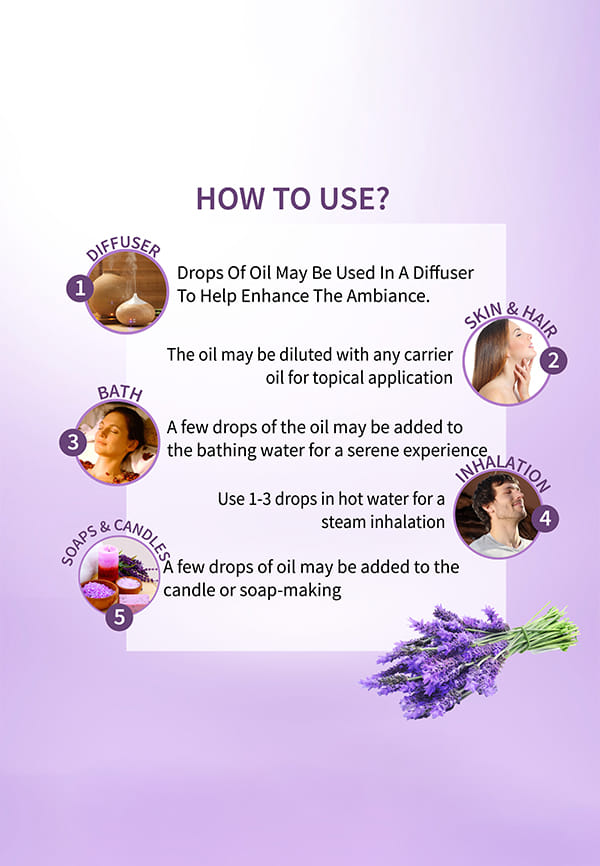 Lavender Essential Oil – thumbnail 8
