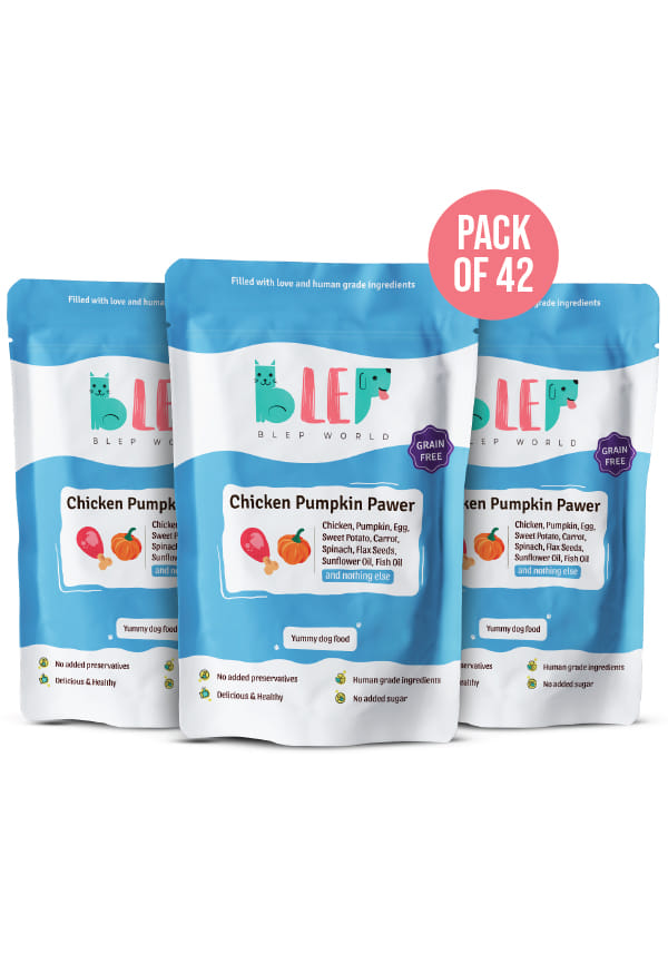 Human Grade Fresh Dog Food (Wet) Chicken Pumpkin Pawer