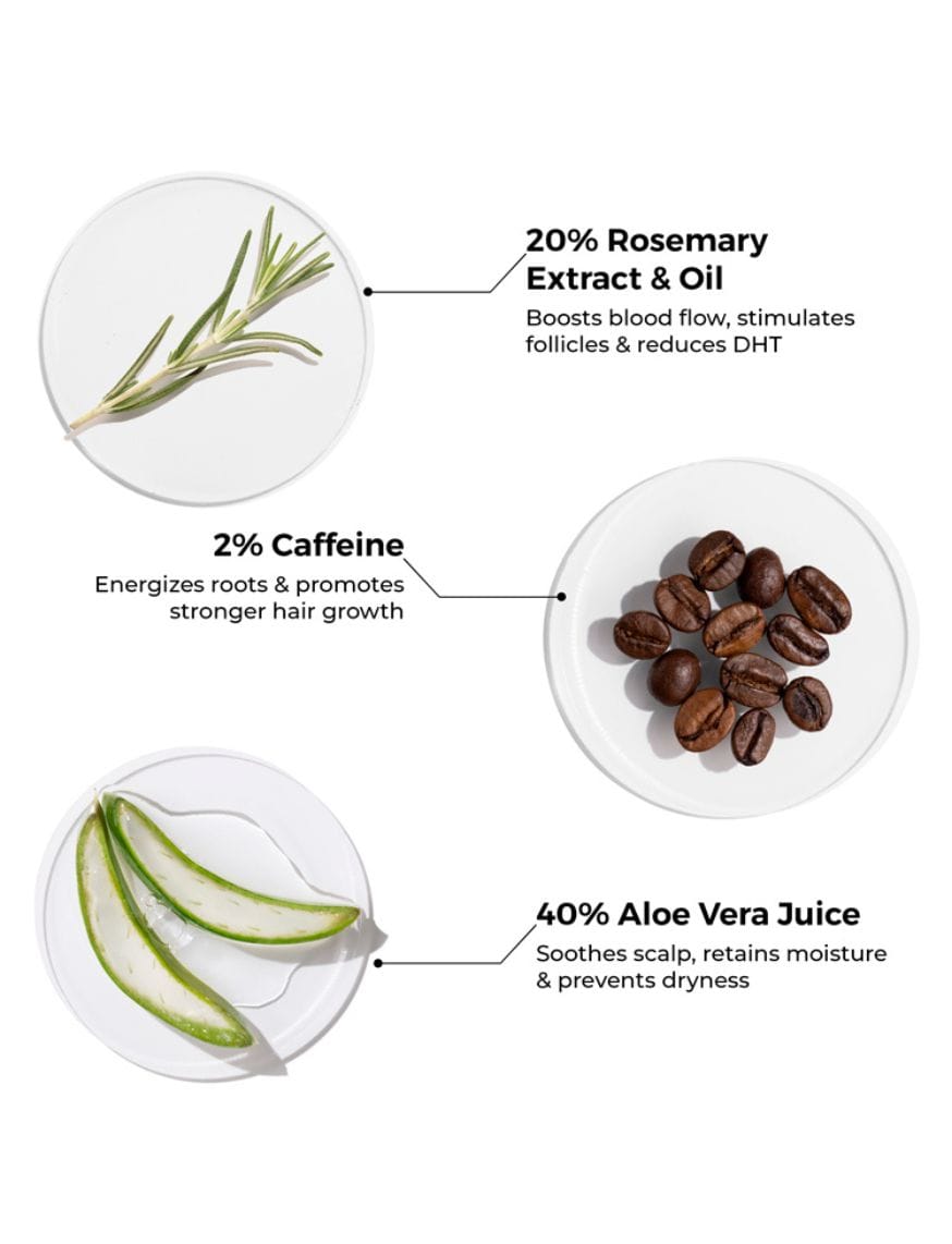 20% Rosemary Shampoo with 2% Caffeine for Hair Growth & Hair Fall Control – thumbnail 6