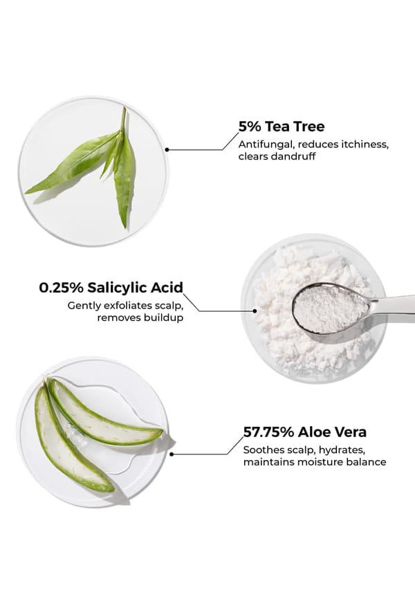 Tea Tree Anti Dandruff Shampoo – thumbnail 5