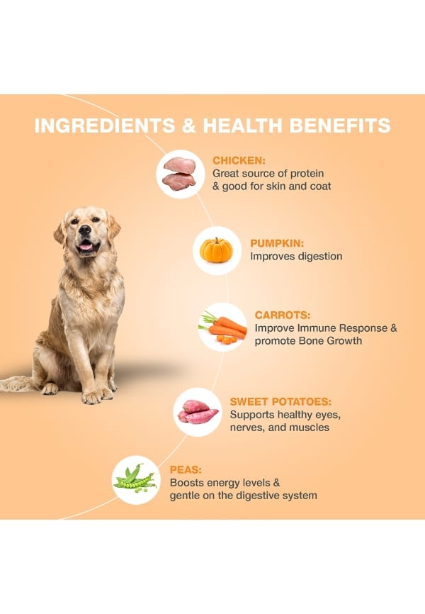 Delicious Fresh Dog Food, Chicken and Pumpkin Recipe, Wet Dog Food for Adult and Puppy – thumbnail 2