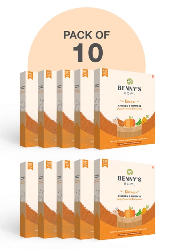 Delicious Fresh Dog Food, Chicken and Pumpkin Recipe, Wet Dog Food for Adult and Puppy