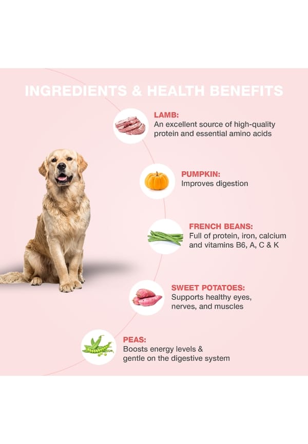 Delicious Fresh Dog Food, Lamb and French Recipe, Wet Dog Food for Adult and Puppy – thumbnail 2