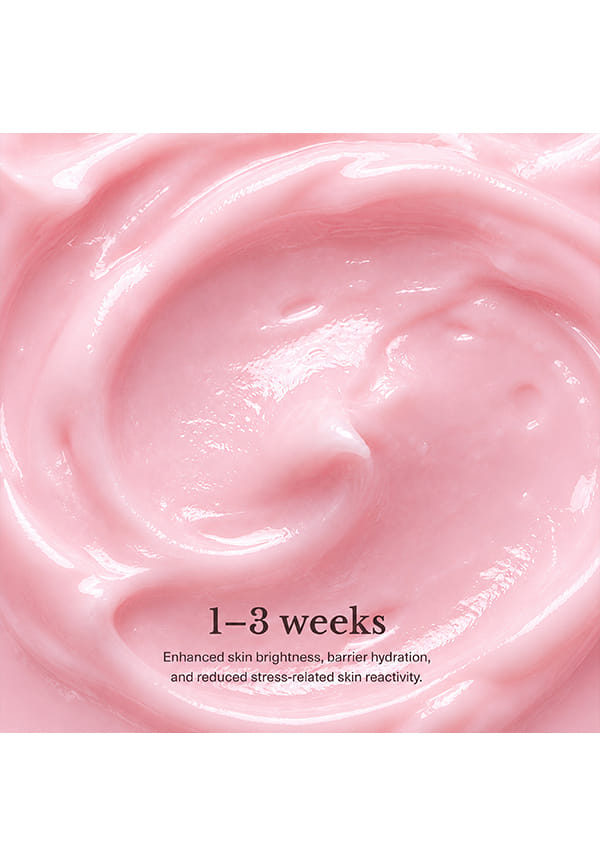 Brightening Face Cream – thumbnail 4