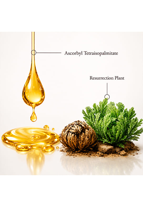 Brightening Face Mask – thumbnail 3