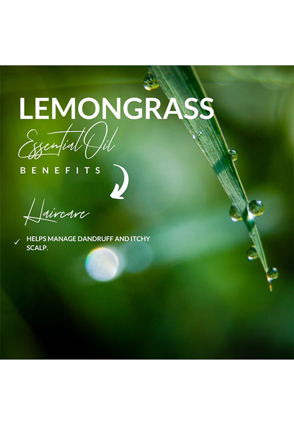 Lemongrass Essential Oil – thumbnail 5