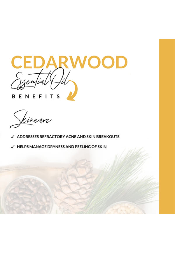 Frankincense Essential Oil – thumbnail 4