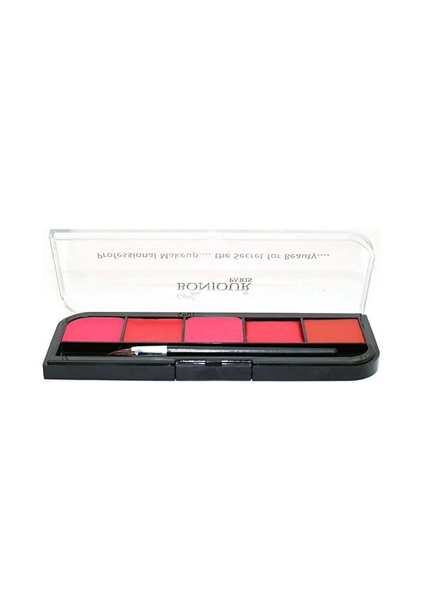 Professional lip Palette