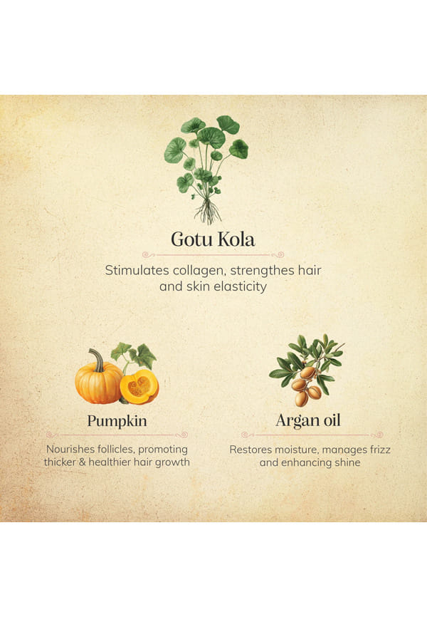 Chengavi Gotu Kola & Pumpkin Beard Oil – thumbnail 3