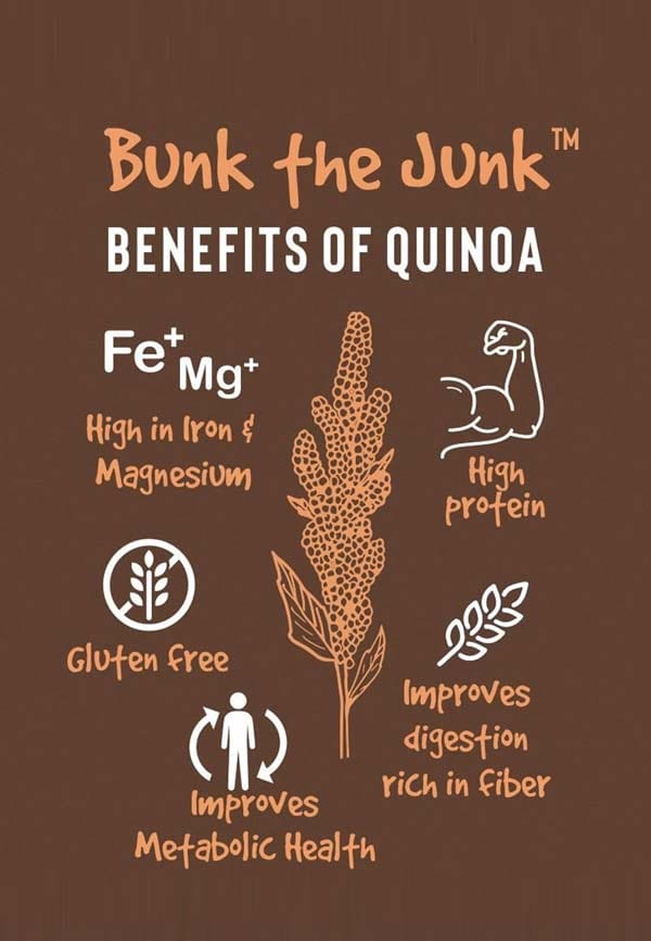 Quinoa Millet Breakfast Bars With Dark Cocolate Flavor – thumbnail 2
