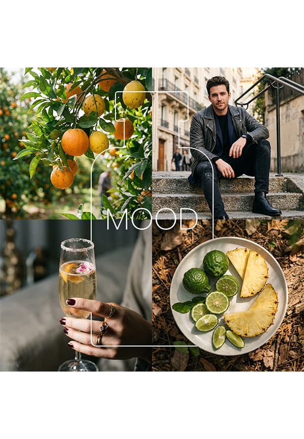 Momentum – thumbnail 3