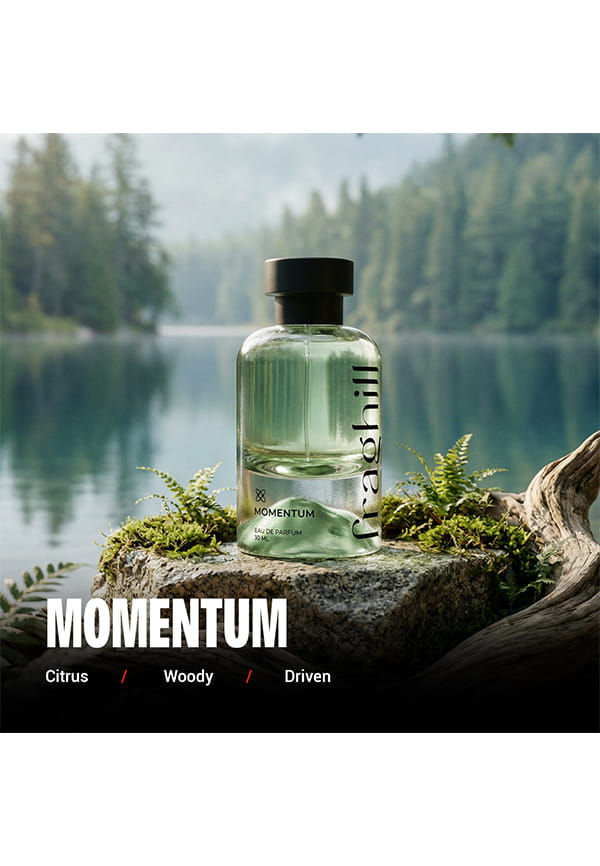 Momentum – thumbnail 4