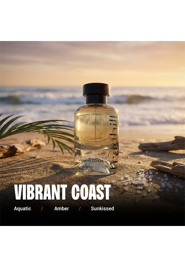 Vibrant Coast – thumbnail 4