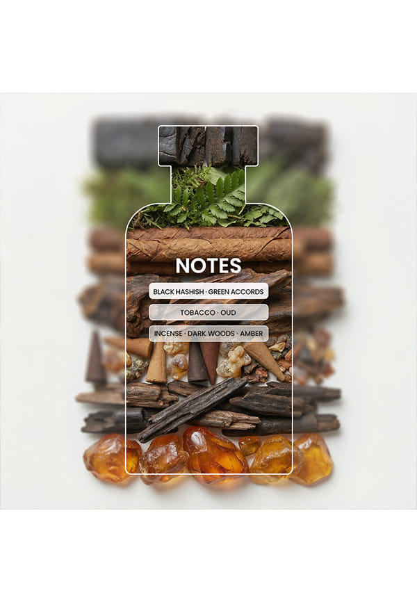 Spice from Arrakis – thumbnail 2