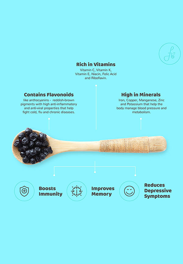 Blueberries | Sugar Free | Infused with Organic Apple juice – thumbnail 2