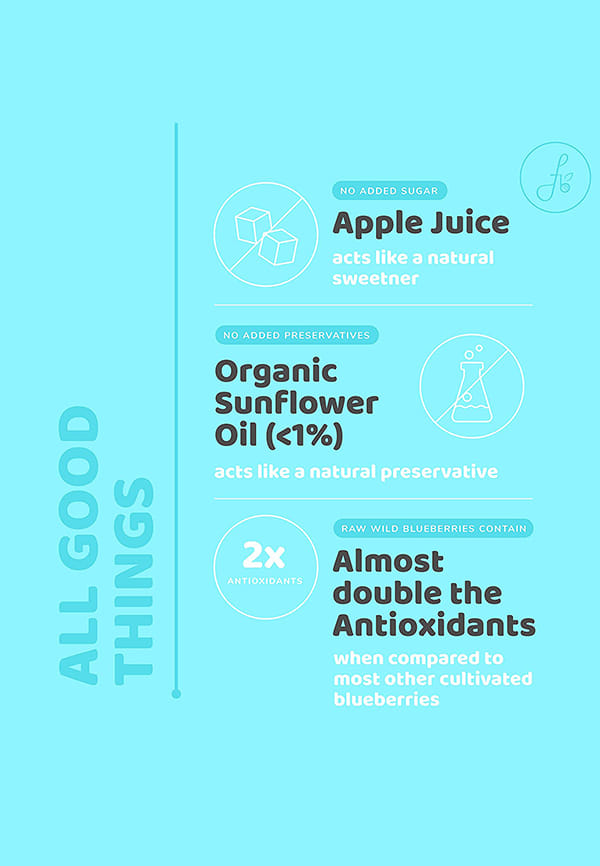 Blueberries | Sugar Free | Infused with Organic Apple juice – thumbnail 3