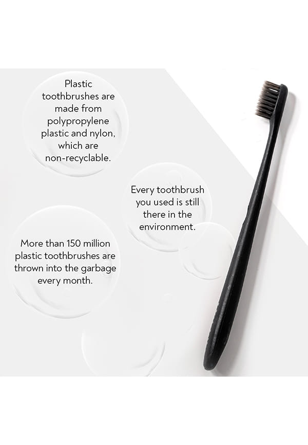Teeth Whitening Toothpaste - Charcoal Mint, Wheat-Straw Toothbrush – thumbnail 3