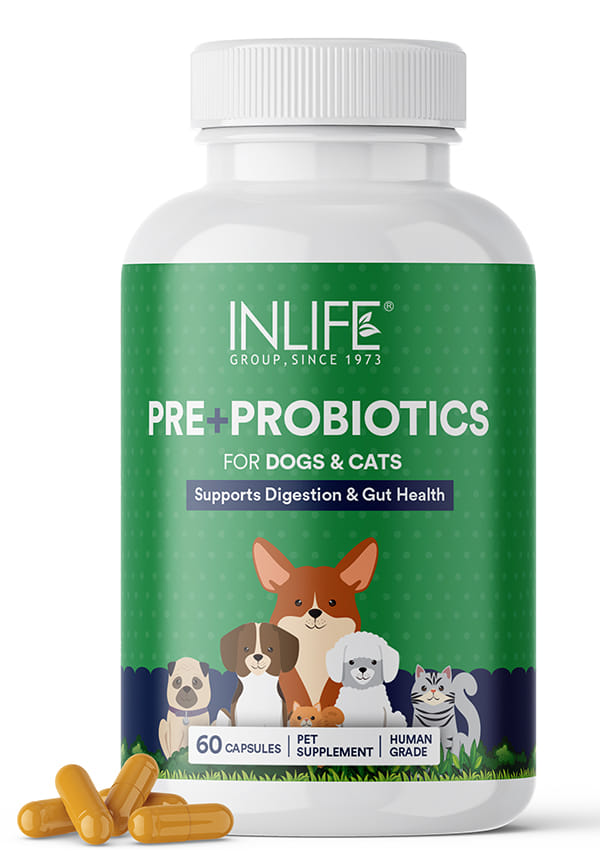 Pre and Probiotics for dogs