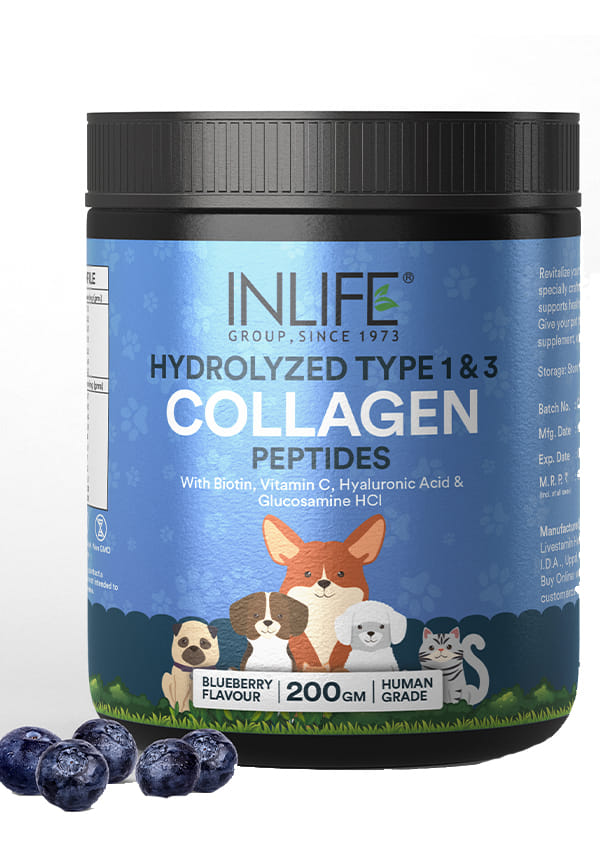 Collagen for dogs blueberry